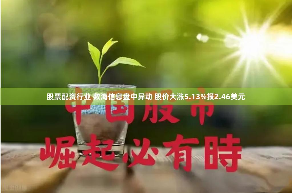 股票配资行业 数海信息盘中异动 股价大涨5.13%报2.46美元