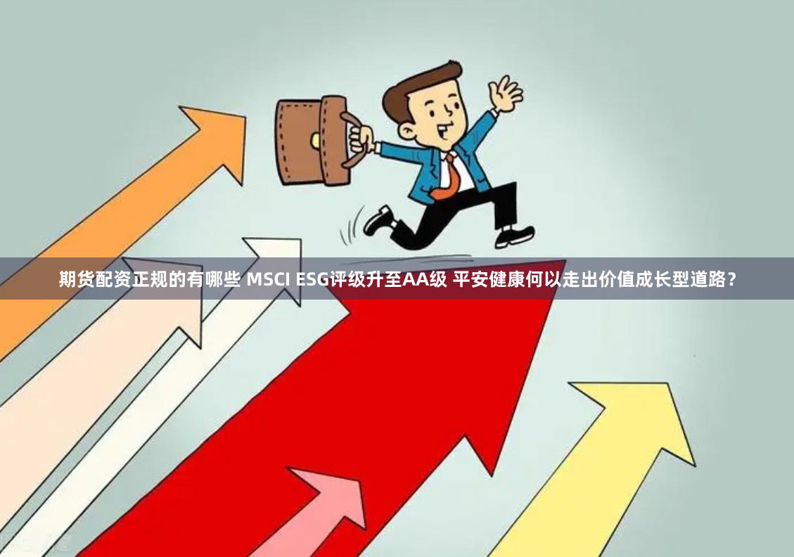 期货配资正规的有哪些 MSCI ESG评级升至AA级 平安健康何以走出价值成长型道路？