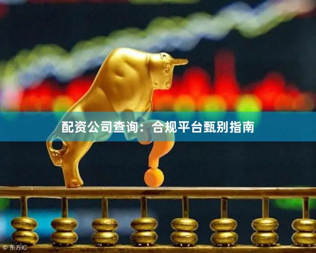 配资公司查询：合规平台甄别指南